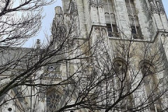 51903169468_5780227f72_c