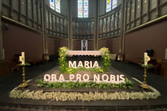 52902325060_89e5ea7e11_c