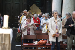 53791409567_ed8ca34c15_o