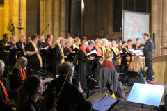 53223940336_7b3735ea7d_o