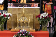 53224329144_c683a0a209_o