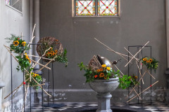 53233386891_748dfce754_c