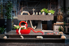 53233436846_12458ddb33_c