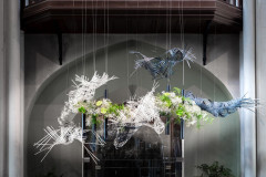 53233936655_98e831f153_c