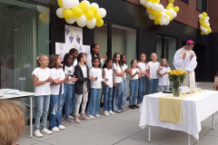 53224310488_900f46d2b4_o