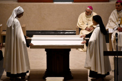 53398974761_2bf87cee24_c