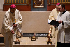 53399163703_0d6dd0cda7_c