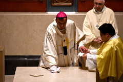 53399242318_683bbb49e9_c