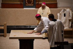 53399244013_fbb7d41e4e_c