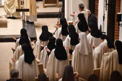 53399406085_1fc90c1ba9_c