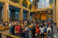 53163228529_aab0bf5359_c