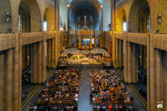 53163228784_5efe14b2eb_c