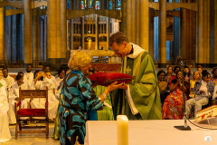 53163452600_a669396f77_c