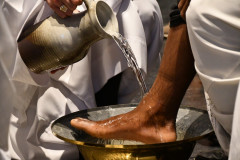 53617031662_efd52eeacb_c