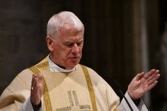 53618115158_b5cea1e73a_c