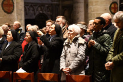 53618115603_b1a797a198_c