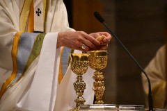 53618116473_fce0ff350b_c