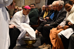 53618348345_21c385522d_c