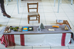 49640480998_4eb1d38829_c