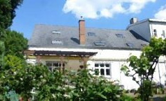 Kot-Koté-jardin