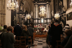 51750246006_1814c8773d_c