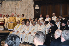 52745970527_28e5c05be8_c