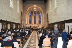 52746992883_5b183a73d7_c