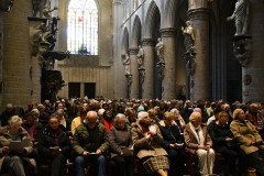 52795053933_de64563fcf_c