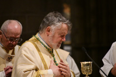 52794027197_b85425c6fc_c