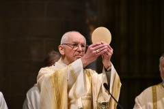 52794028047_f870d8ca6d_c