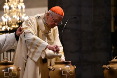 52794597781_4120860b30_c