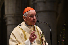 52794614106_cfde107b42_c