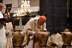 52794833894_6cabdb4509_c