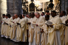 52794836734_6a529f23d9_c