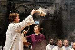 52795055553_b172858b17_c