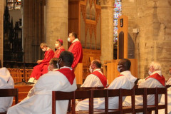 50343974338_2c540639f6_w