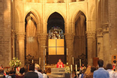 50344943532_2f8bc81cc5_w