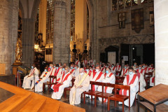 51476703912_effa71acc5_c