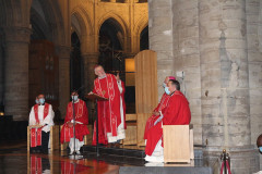 51478164349_da435eaef9_c