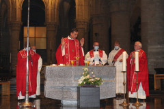 51478166564_e49b1ac6d1_c