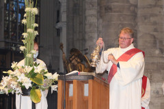 51478185384_71df4c55a4_c