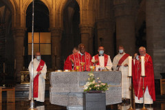 51478369505_05bb982d8a_c