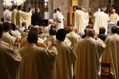 53614444314_381d2381e6_c