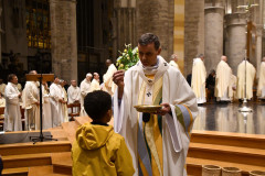 53614444829_e50dc3fb2f_c