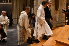 53614556775_2742ae6392_c