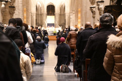 53614316808_ba5dea964a_c