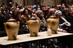 53614555655_3c3d354604_c