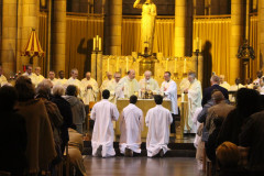 51959831067_65472177a4_c