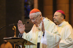 51960892288_eaaca9dafd_c