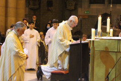 51961110789_5abbab4cf1_c